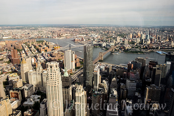 One World Trade Center View