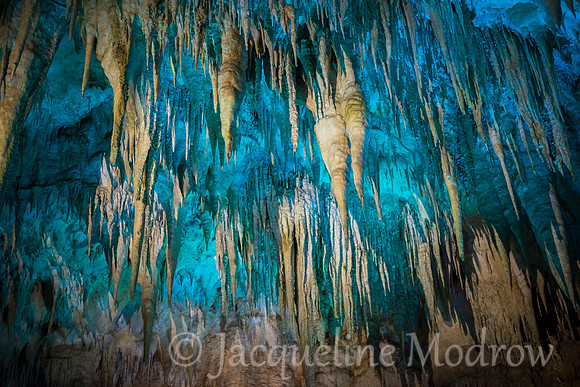 "Aqua Lights"