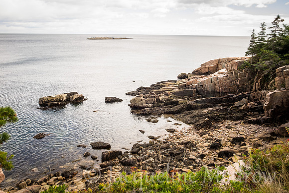 Bar Harbor Coastline