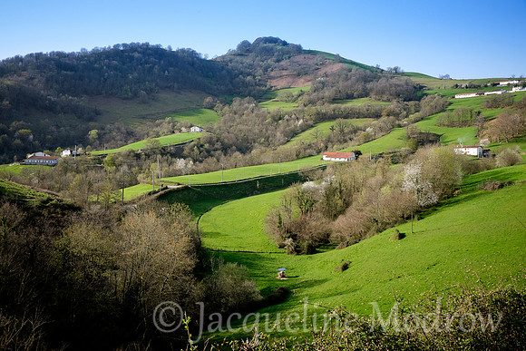 Pyrenees