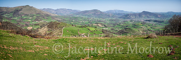 Pyrenees