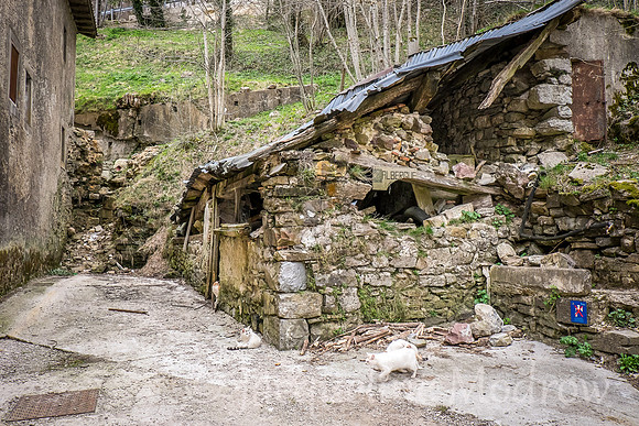 Albergue Ruins
