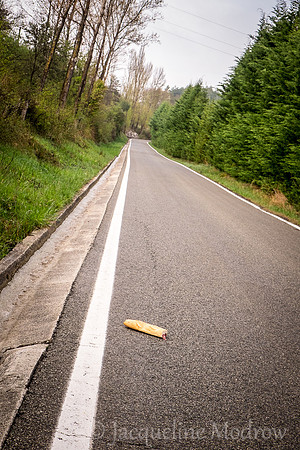 "Sandwich Lost"