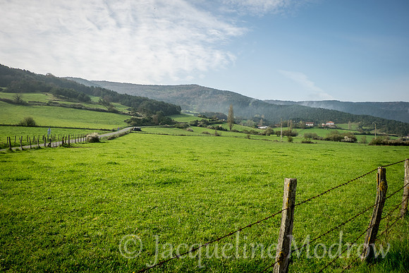"Green Pastures"
