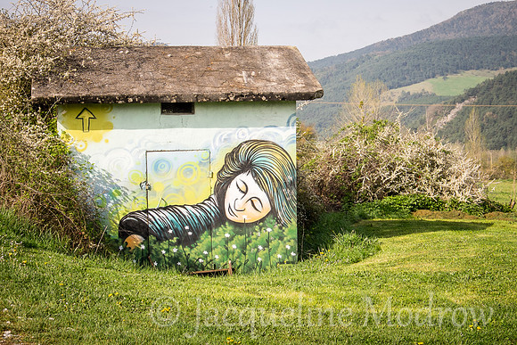 "Integrated Wall Mural"