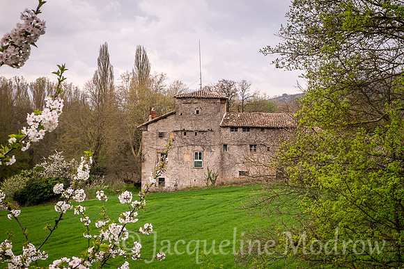 "Behind the Apple Blossoms"