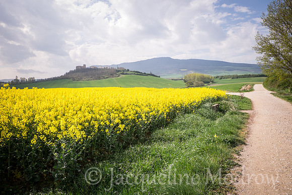 "Fields of Butter"