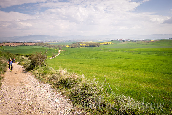 "Pamplona in the Background"