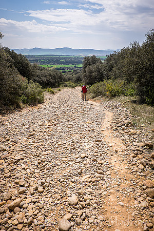 "The Rocky Road Down"