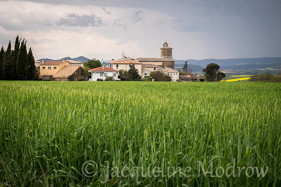 "Wheat Fields to the City"