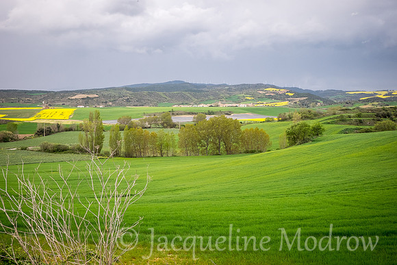 "Hint of Spring"