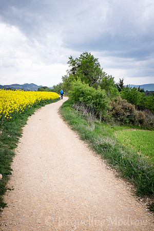 "Alongside the Canola"