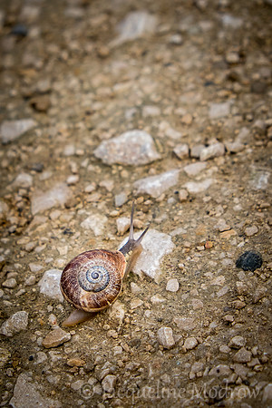 "Carrying His Pack"