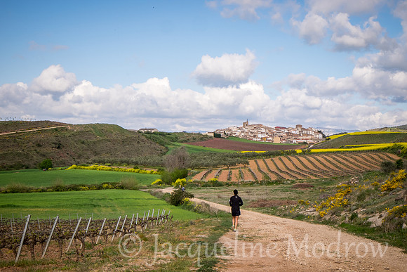 "Cirauqui in the Distance"