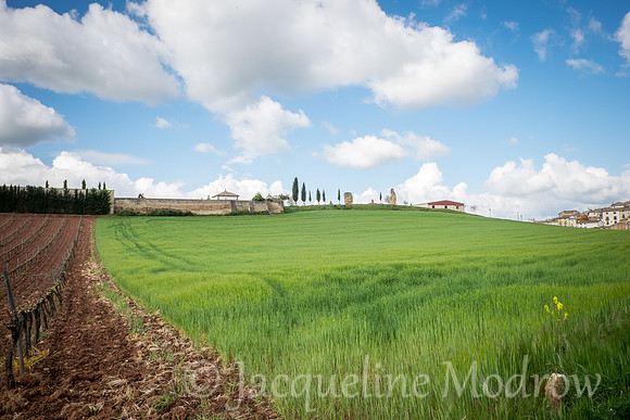 "Cirauqui in the Distance"