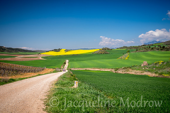 "The Long and Winding Road"
