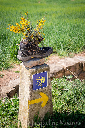"That Way"