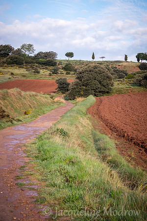 "Red Roads"