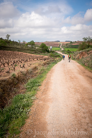 "The Road Ahead"