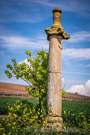 "The Pillar"