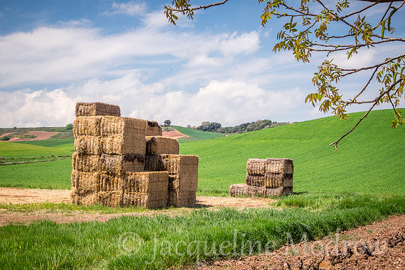 "Stacked"
