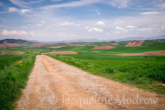 "Long Road Ahead"