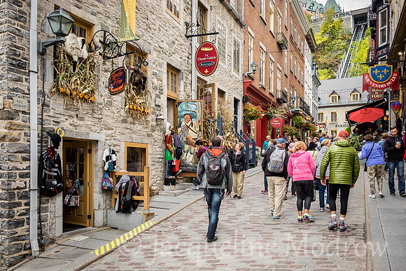 Quebec City Streets