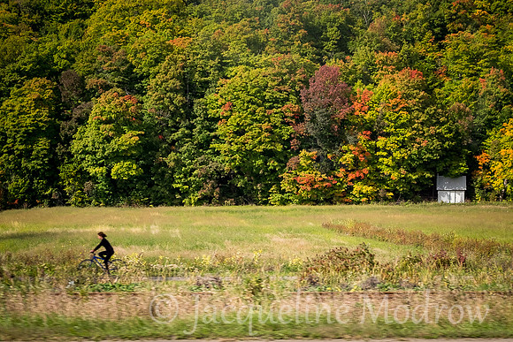 "Pedaling By"
