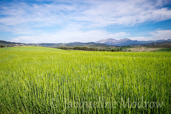 "Green and Blue"