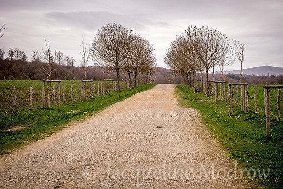 "The Quiet Path"
