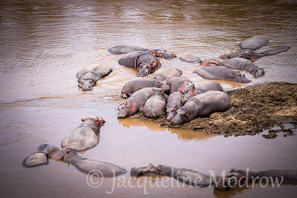 The Pile