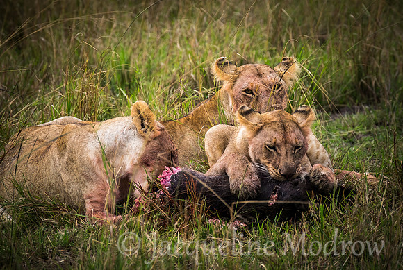 Sharing