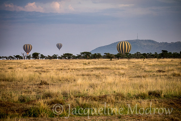 Balloons Arising