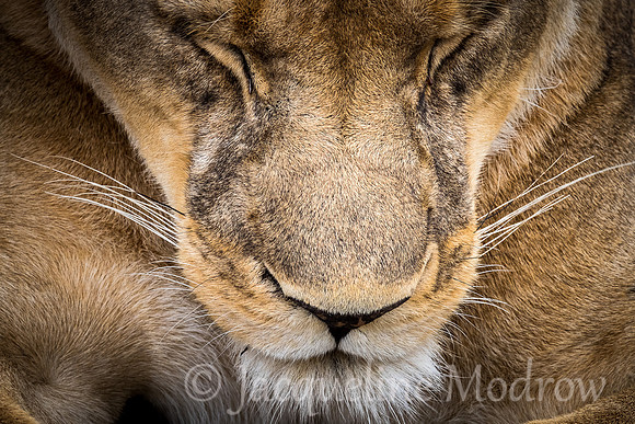 Up Close and Personal