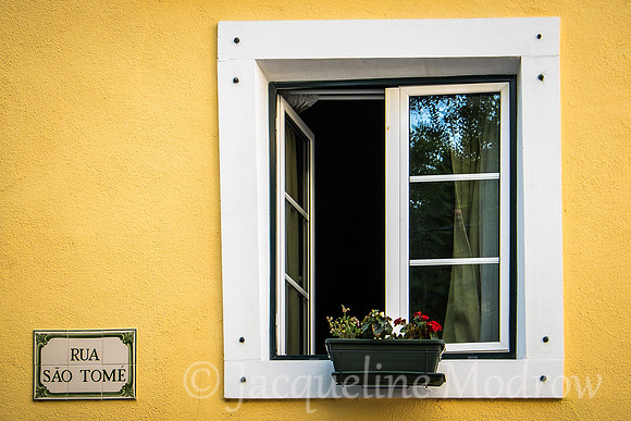 Window Basket
