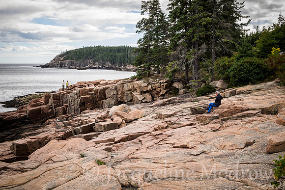 Bar Harbor Coastline