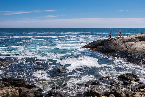 Newport Coastline