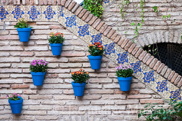 Blue Pots