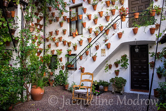 Patio Garden