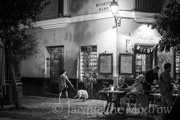 Sevilla Evening