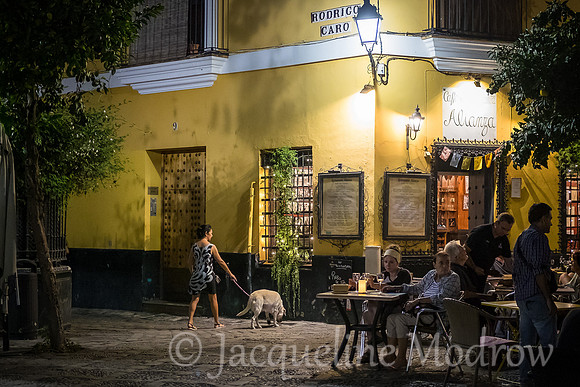 Sevilla Evening