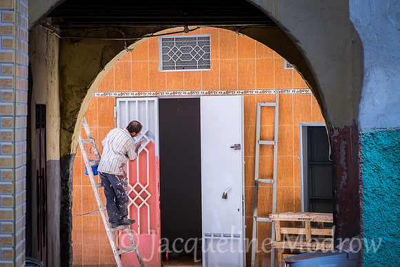 The Painter