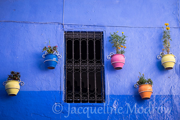 Colorful Pots