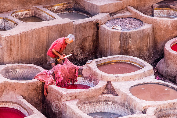 Scraping Hides