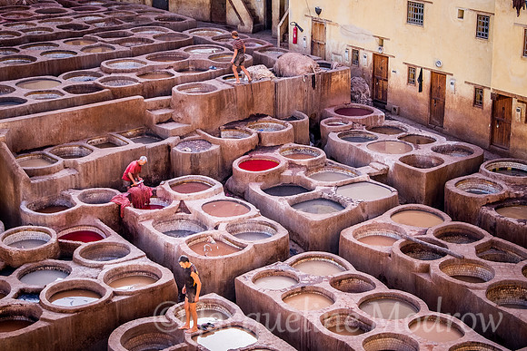 Chouara Tannery