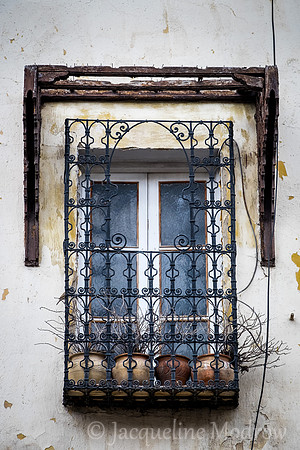 Waiting for Spring