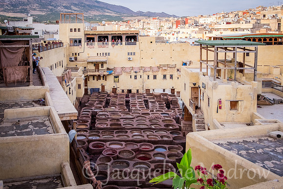 Chouara Tannery