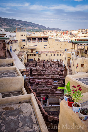 Chouara Tannery