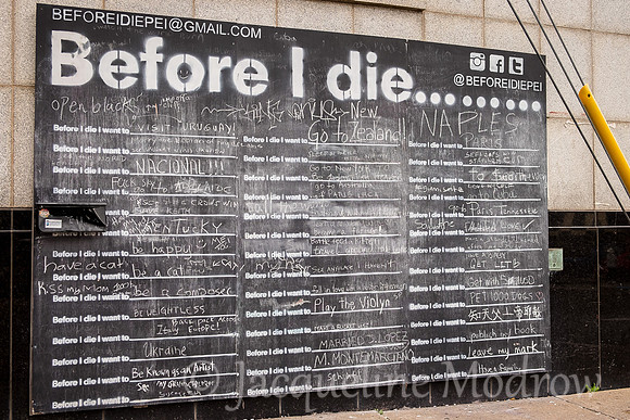 "Before I Die"
