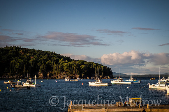 Bar Harbor Boats